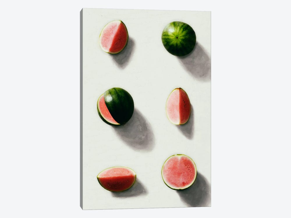 Fruit XIV by LEEMO 1-piece Canvas Wall Art