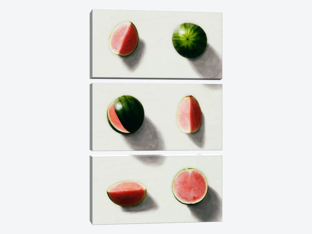 Fruit XIV by LEEMO 3-piece Canvas Artwork
