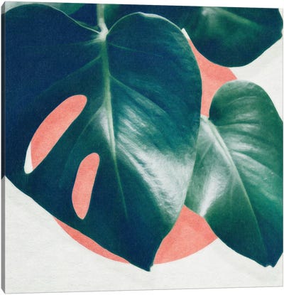 Monstera I Canvas Art Print - Green Leaves 