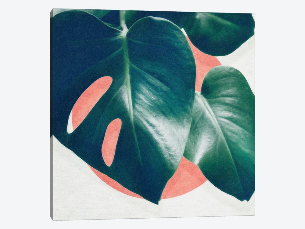 Monstera I by LEEMO 1-piece Canvas Art