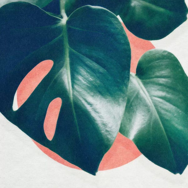 Pantone: Monstera I by LEEMO