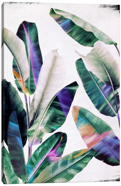 Tropical I Canvas Art Print - Floral & Botanical Art