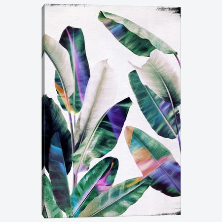 Tropical I Canvas Print #LMO67} by LEEMO Art Print
