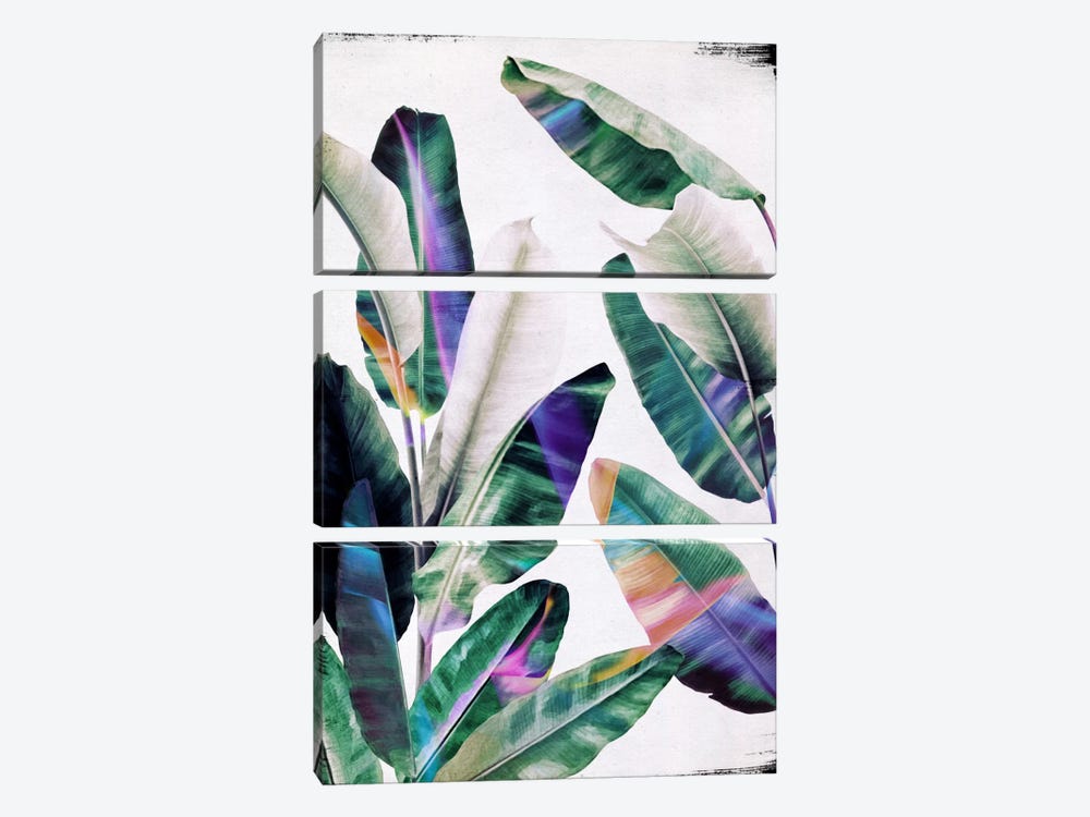 Tropical I by LEEMO 3-piece Canvas Art