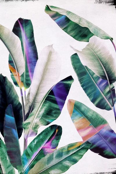 Pineapples: Tropical I by LEEMO