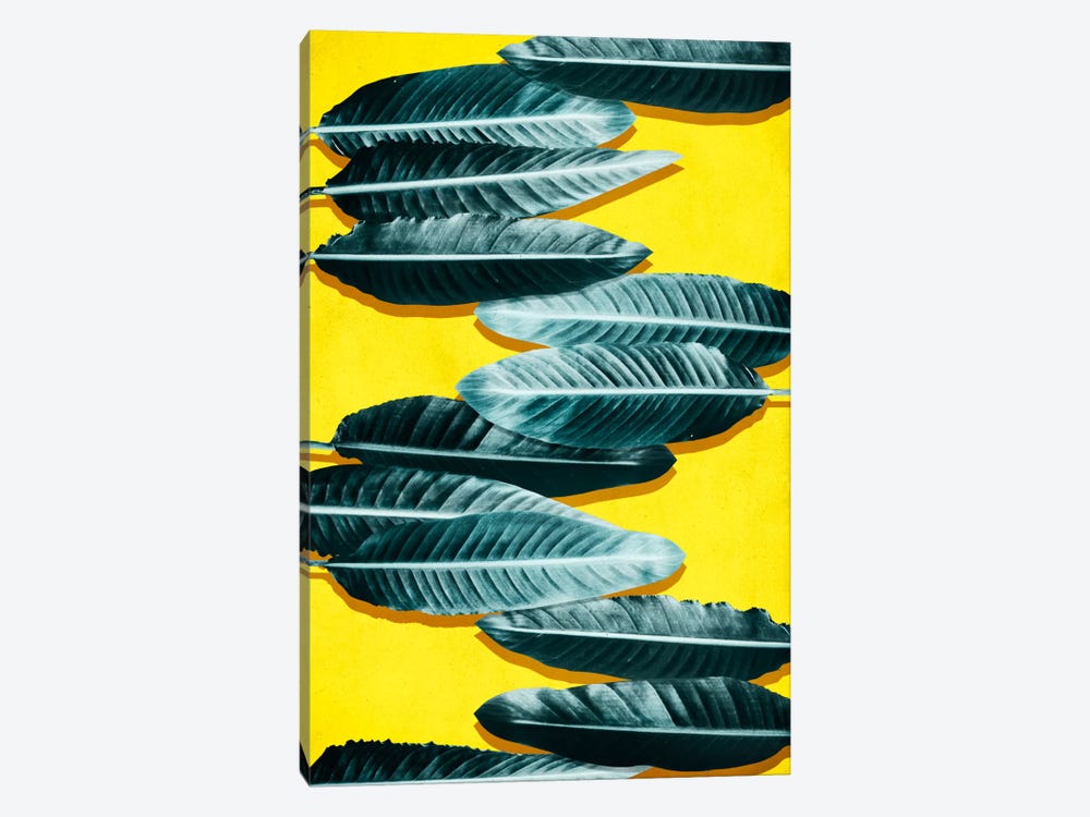 Tropical II by LEEMO 1-piece Canvas Print