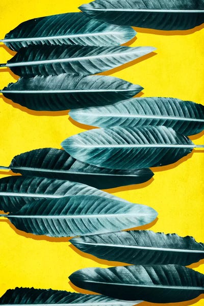 Floral & Botanical Patterns: Tropical II by LEEMO