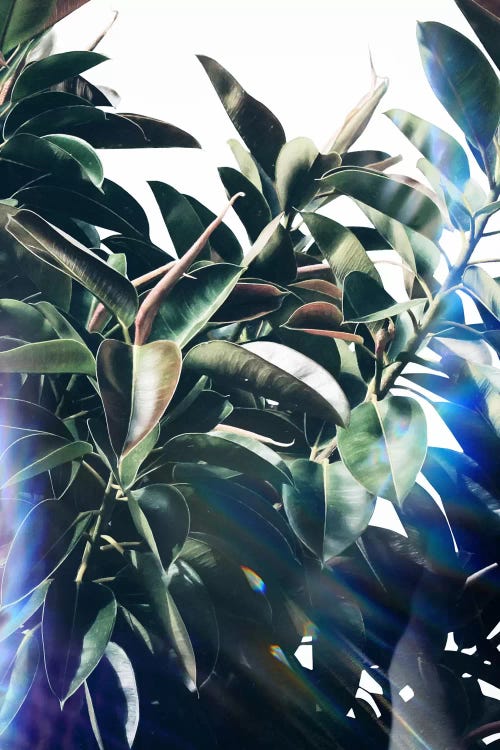 Verve by LEEMO wall art