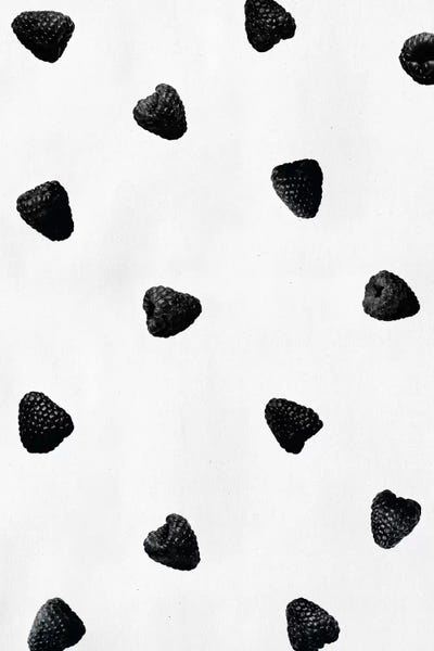 Black Raspberries by LEEMO metal wall art