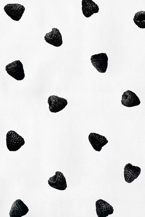 Black Raspberries by LEEMO wall art