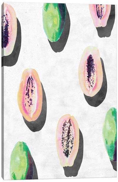 Fruit XI-I Canvas Art Print - Melon Art