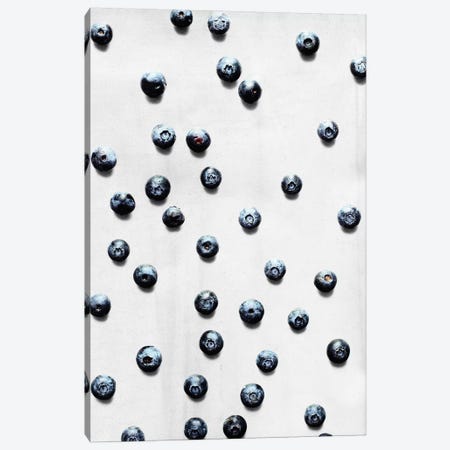 Fruit XII-I Canvas Print #LMO95} by LEEMO Canvas Wall Art