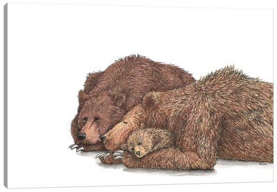 Family Of Brown Bear Canvas Art Print - Elisa Lemmens