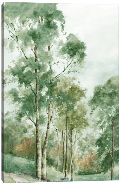 Green Woodlands Canvas Art Print - Lakehouse Décor