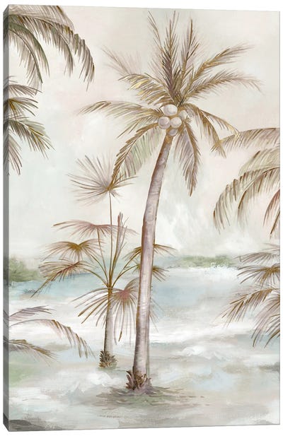 Tropical Island Air Canvas Art Print