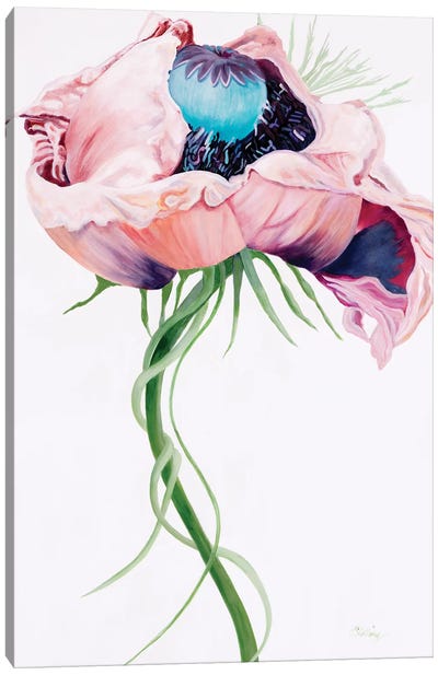 Paris Poppy II Canvas Art Print - Green & Pink Art