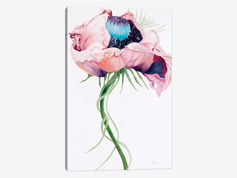 Paris Poppy II by Linda Stelling 1-piece Art Print