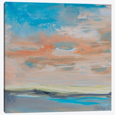 Blush Sky Canvas Print #LND6} by Linda Stelling Canvas Artwork