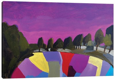 Purple Sky Canvas Art Print - Lenka Stastna