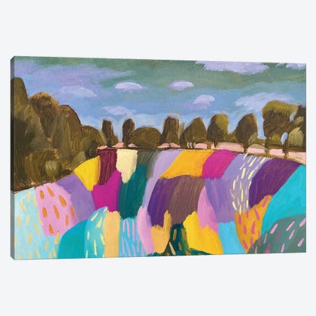 Patchwork Fields I Canvas Print #LNK40} by Lenka Stastna Canvas Art