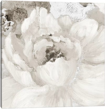 Light Grey Flowers I Canvas Art Print - Best Selling Floral Art