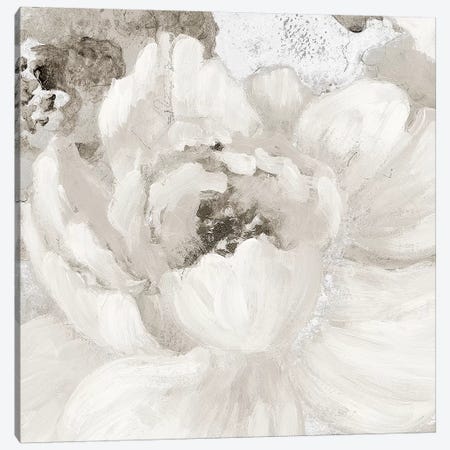 Light Grey Flowers I Canvas Print #LNL109} by Lanie Loreth Canvas Wall Art