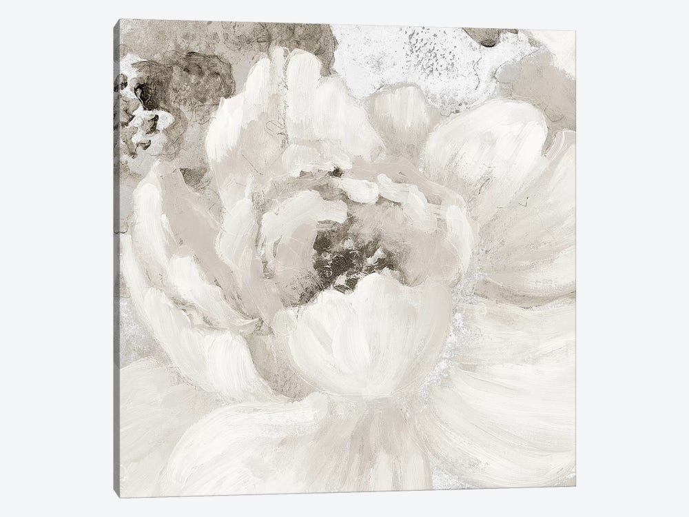 Light Grey Flowers I by Lanie Loreth 1-piece Canvas Wall Art