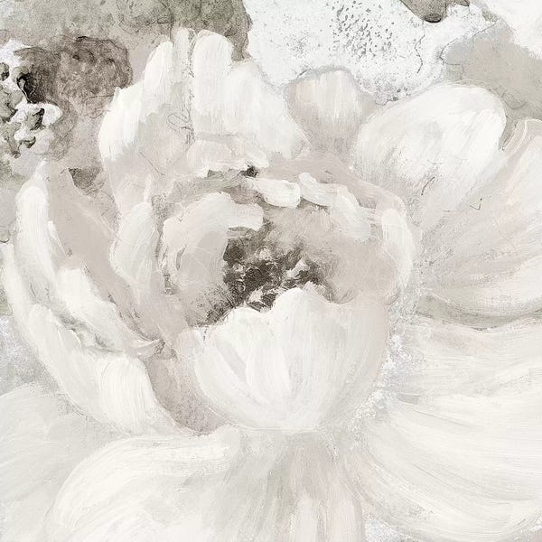 SunDance Group: Light Grey Flowers I by Lanie Loreth