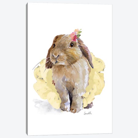 Ballet Bunny II Canvas Print #LNL10} by Lanie Loreth Canvas Artwork