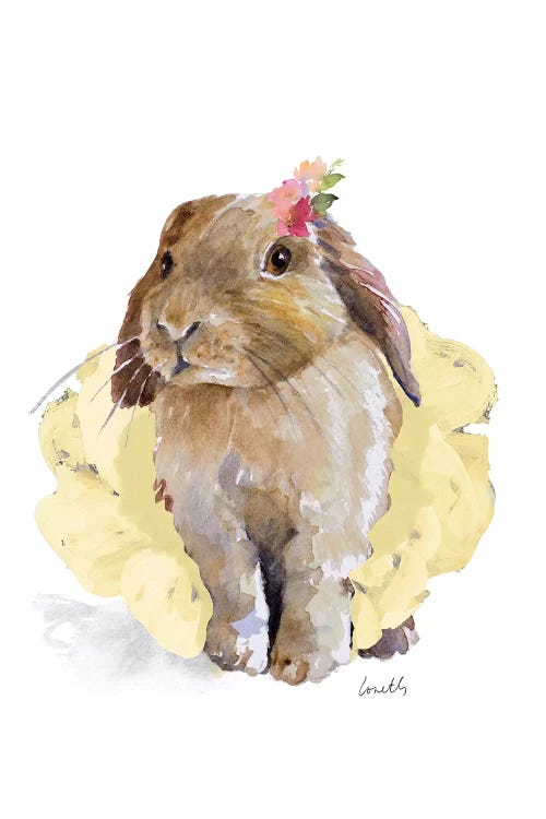 Ballet Bunny II