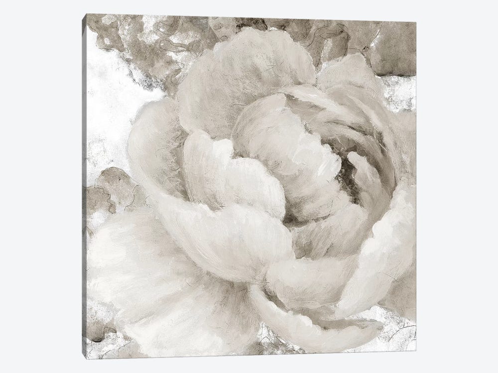 Light Grey Flowers II by Lanie Loreth 1-piece Canvas Wall Art