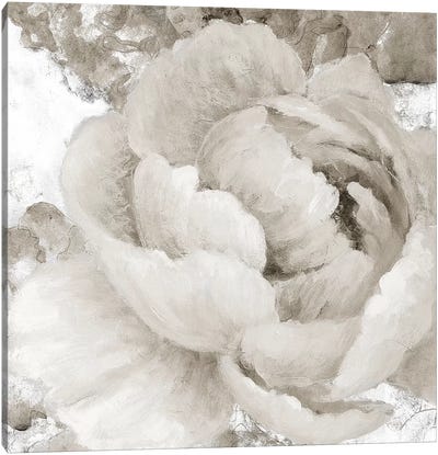 Light Grey Flowers II Canvas Art Print - Neutrals
