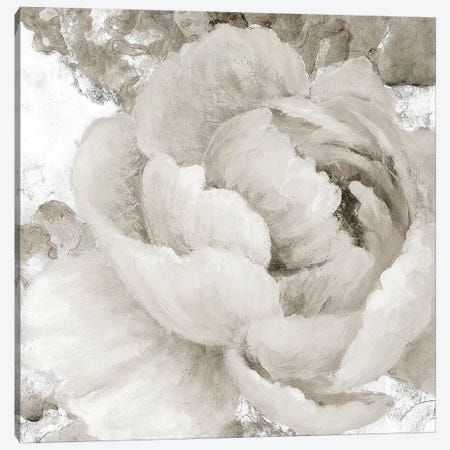 Light Grey Flowers II Canvas Print #LNL110} by Lanie Loreth Art Print