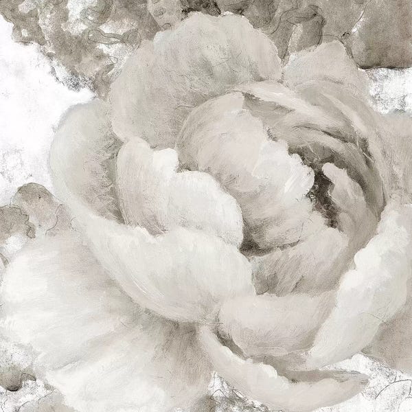 Neutrals: Light Grey Flowers II by Lanie Loreth