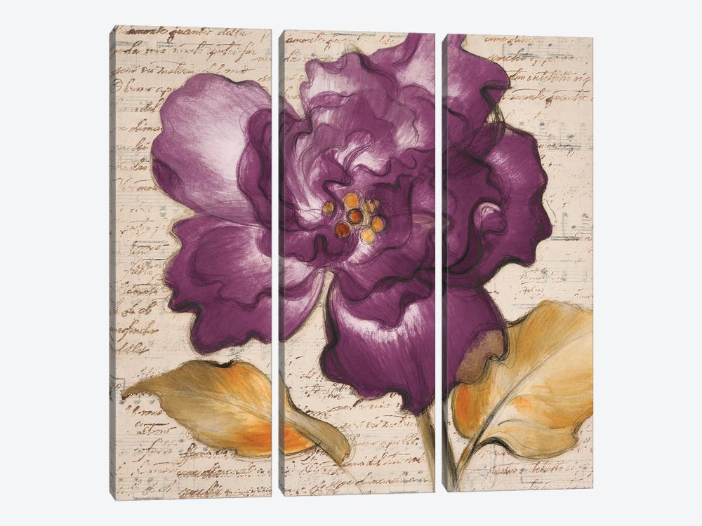 Lilac Beauty I by Lanie Loreth 3-piece Canvas Art Print