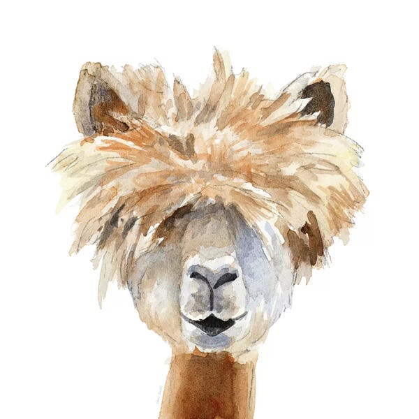 Lanie Loreth: Llama with Bangs by Lanie Loreth
