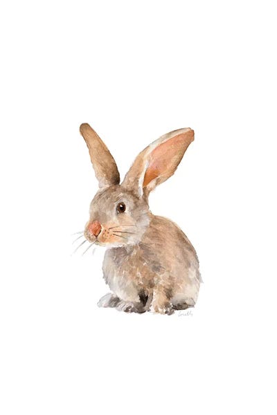 Rabbits: Meadow Buddy II by Lanie Loreth