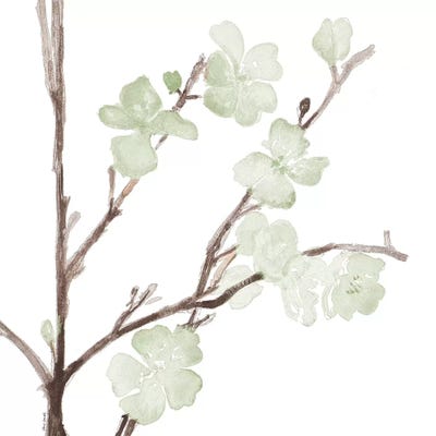 Mint Bloom Stems by Lanie Loreth framed canvas print