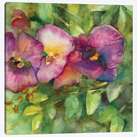 Orchid Garden Canvas Print #LNL145} by Lanie Loreth Canvas Art Print