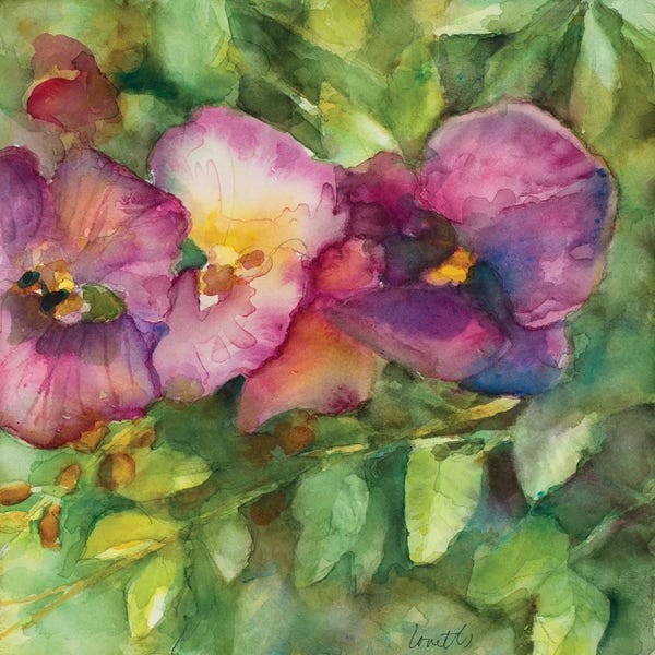 Orchids: Orchid Garden by Lanie Loreth