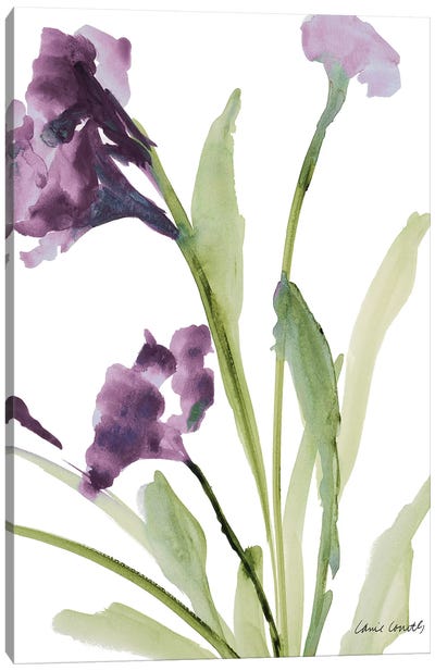 Purple Belles I Canvas Art Print - Lanie Loreth