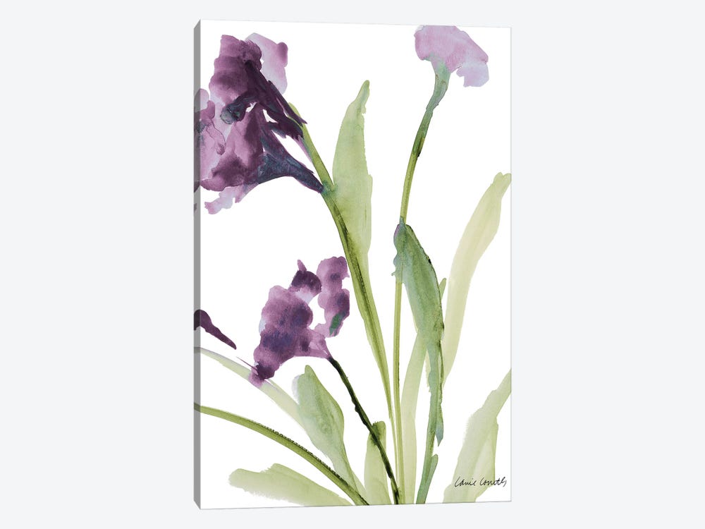 Purple Belles I by Lanie Loreth 1-piece Canvas Art Print