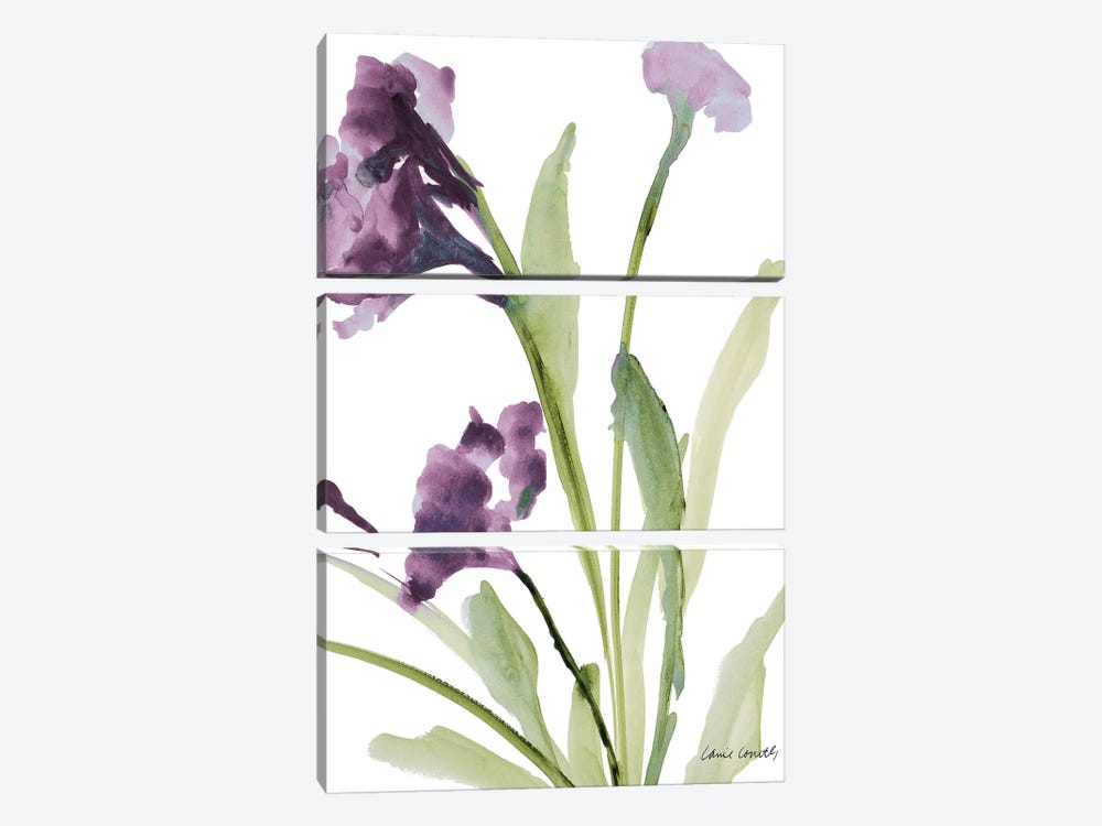 Purple Belles I by Lanie Loreth 3-piece Art Print