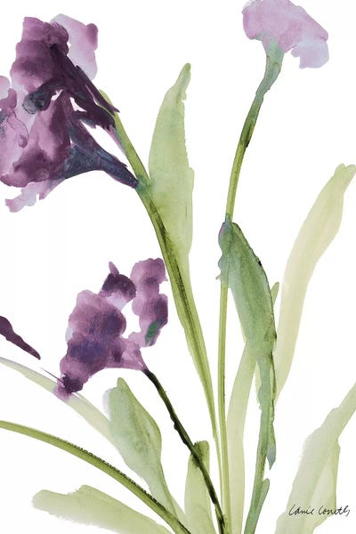 Lanie Loreth: Purple Belles I by Lanie Loreth