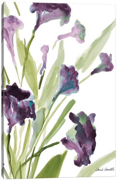 Purple Belles II Canvas Art Print - Lanie Loreth