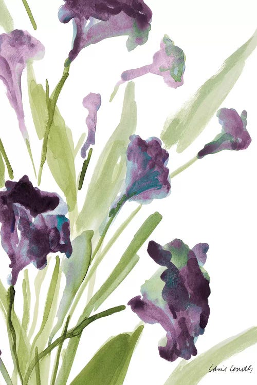 Purple Belles II