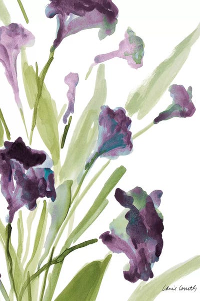 Purple Belles II