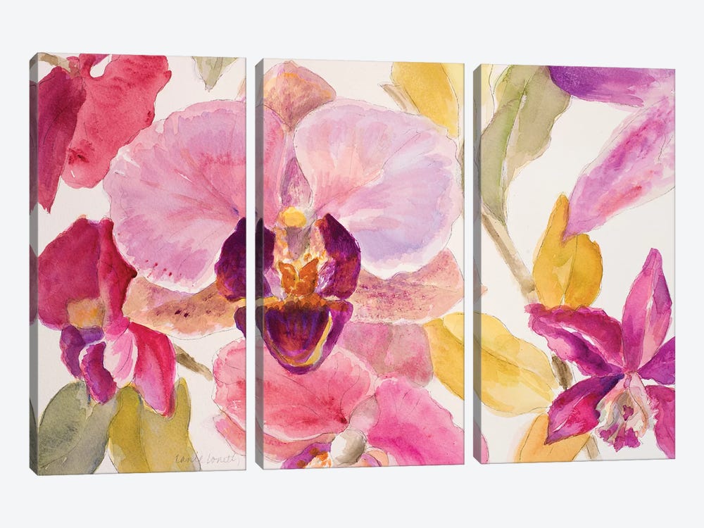Radiant Orchid II by Lanie Loreth 3-piece Canvas Art