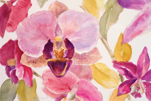 Orchids: Radiant Orchid II by Lanie Loreth