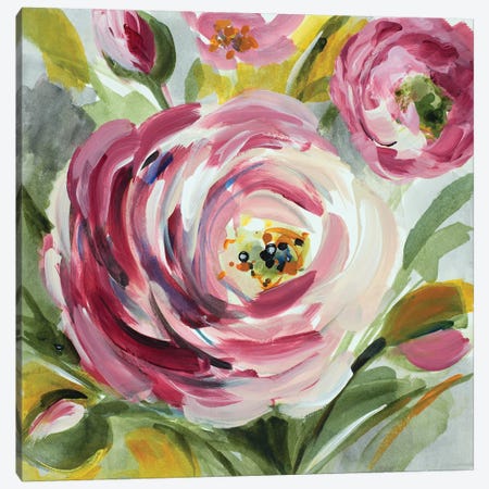 Ranunculus Rosa I Canvas Print #LNL157} by Lanie Loreth Canvas Wall Art